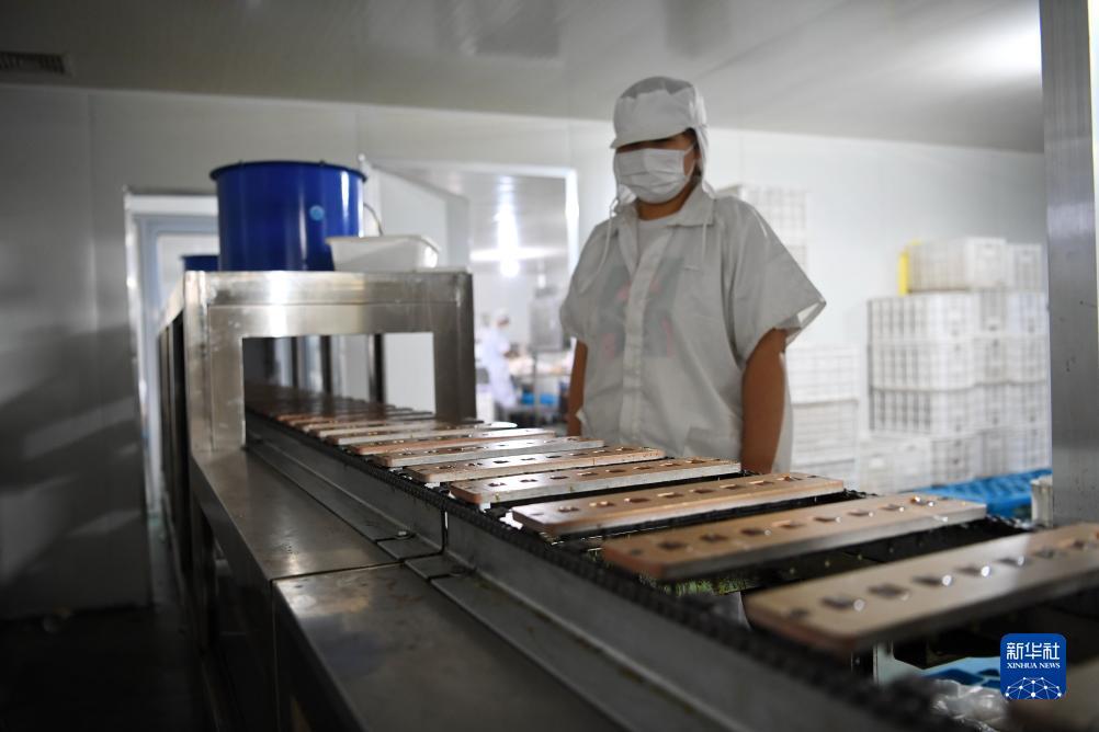 九州天下现金网打不开